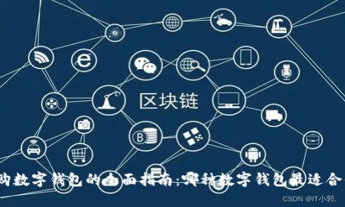 选购数字钱包的全面指南：哪种数字钱包最适合你？