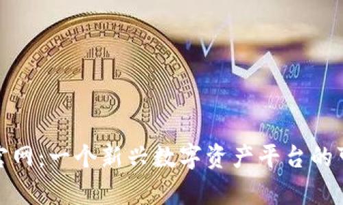 探索BitP官网：一个新兴数字资产平台的可靠性分析