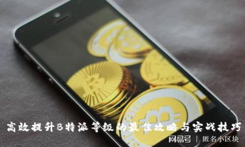 高效提升B特派等级的最佳攻略与实战技巧