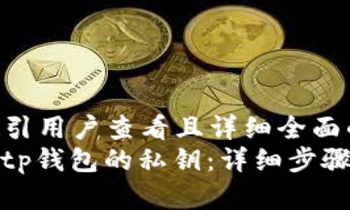 思考一个吸引用户查看且详细全面的优秀  
如何查看Bitp钱包的私钥：详细步骤与安全指南