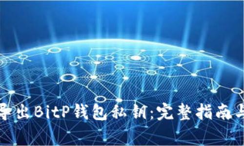 如何安全导出BitP钱包私钥：完整指南与注意事项