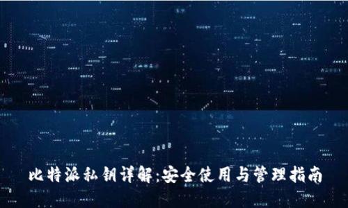 比特派私钥详解：安全使用与管理指南